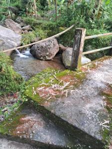 Bagmara Homestay, Tea Garden View Near Kurseong