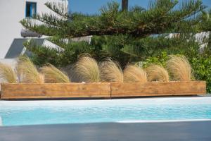 Vinedo Luxury Escape Apartments