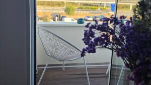 A Proa do Moliceiro Canal - Salty Lagoon VIEWS