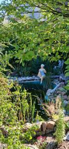 Ferienwohnung Anke Günther Dach