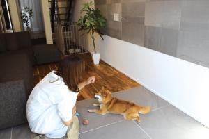 Izumo-shuku MAICHI STAY - Vacation STAY 00202v