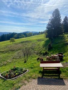 Ferienwohnung Weideblick
