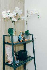 Budget staycation near moa