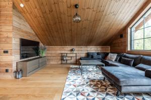 Luxurious cabin in Idre