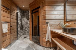 Luxurious cabin in Idre