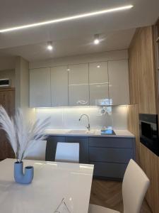 Blue Apartament z widokiem na morze Dziwnówek