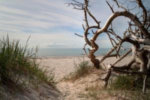 Ferienwohnung "Kleine Deichperle"