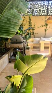 Villa Belkis, games, Hammam, swimming pool, not overlooked