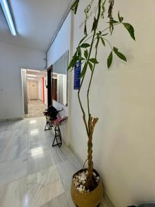 Hera Luxury Suite by Zeus Suites