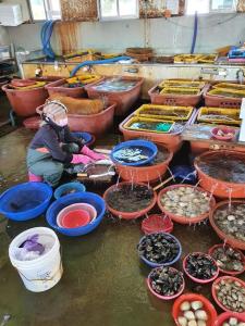 #아쿠아리우스#Aquarius #대가족 #family suite #무료바베큐 #Free barbecue