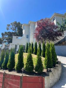 Big Bright Burlingame Hills Bay View Home