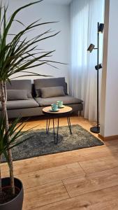 Sunny Danube Quay Luxe Studio