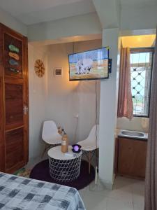 Vintage Home and Apartment