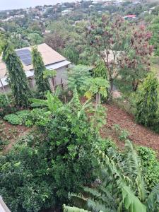 Vintage Home and Apartment