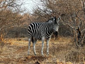 Panache Wildlife Cottage-Self Catering