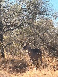 Panache Wildlife Cottage-Self Catering