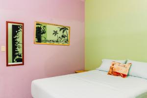 la colonia 25 de mayo