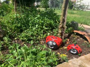 Παραδοσιακή Κατοικία