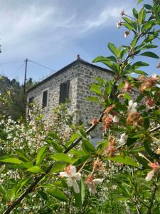 Παραδοσιακή Κατοικία