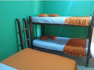 Hostal el Forastero