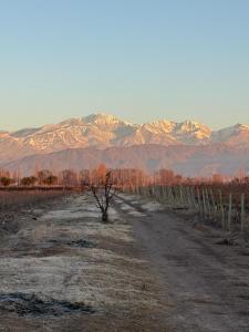 Boutique Hotel Bodega CICLO ANDINO