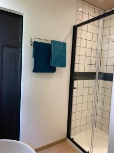 Charmant appartement Carolles