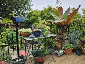 The Greenhouse