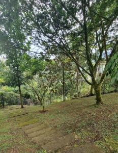 Next to natural reserve, amazing views!