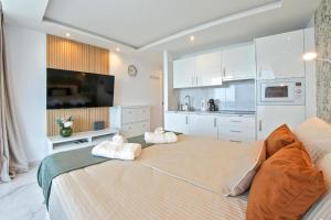 Ponderosa Sky Ocean Studio