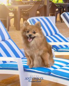 Antonios Miramar Hotel