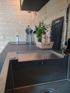 Domek Betula Izerska