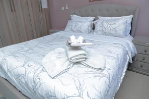 EMC Luxury Villa ,Pool, Solar , Starlink Wifi