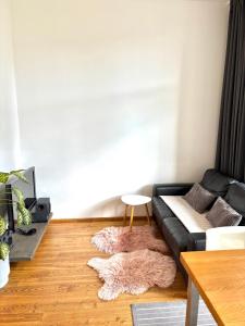 Apartment Dzelzavas 193