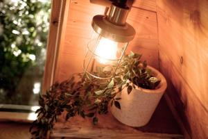 Pattys Barn Holiday Cottages, Cabins and Venue Hire