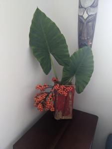 Luxury In The Jungle