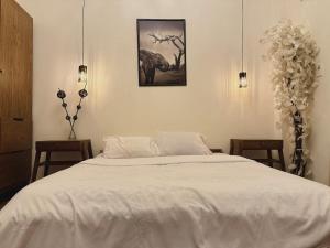 Bright 2-BR apartment central Zamalek