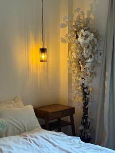 Bright 2-BR apartment central Zamalek