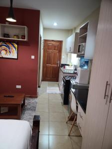 Sanayz lovely Studio