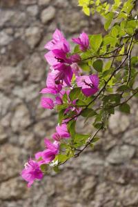 Reserva Atibaia Casa de Montanha