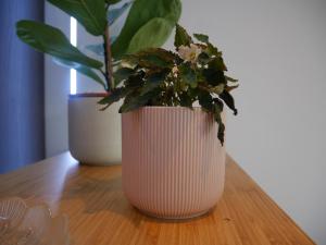 Le Marceau - Terrasse plein sud