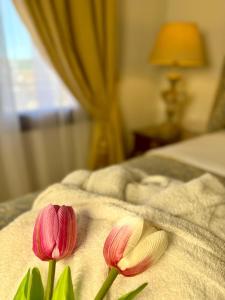 Great Greece Le Convivial Suites