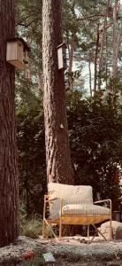 Five Trees Forest Home