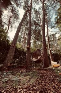 Five Trees Forest Home