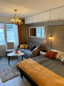 Centrum studio with sauna, Levi