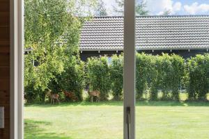 M261-Vaeggerlose-Akacievej-15