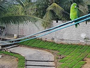 Casa Mineira - Vera cruz - Itaparica BA