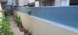 Paws and Petals Retreat