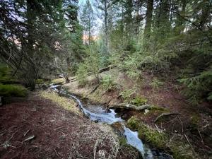 Pinebox at Evergreen Modern 20Acres -Serene-Creek