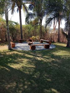 Cottage Blue palm tree nook