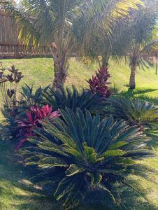 Cottage Blue palm tree nook